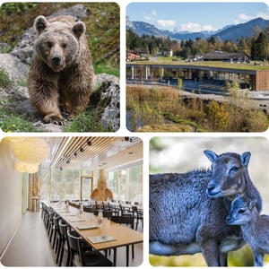 Tierpark Goldau